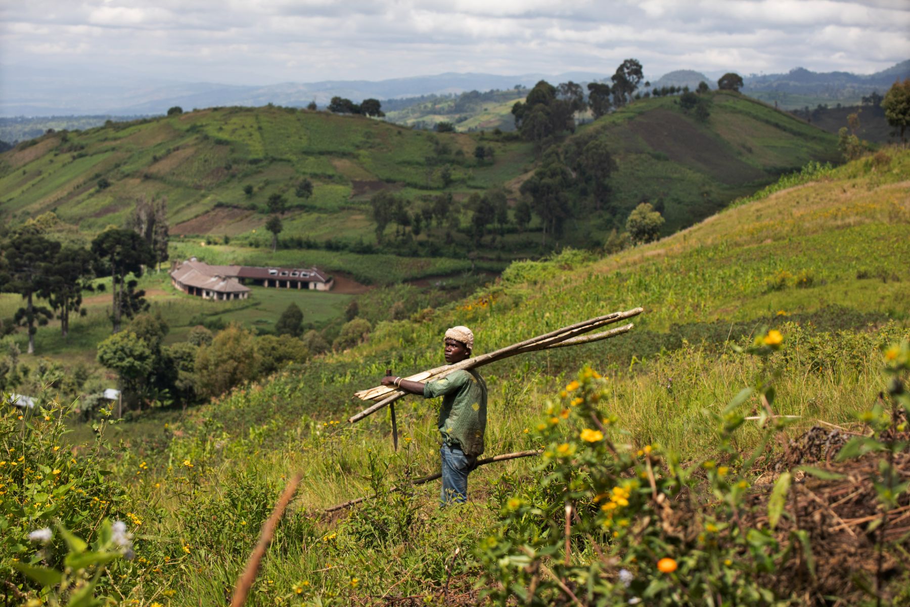One Health Approach in South Kivu — 16