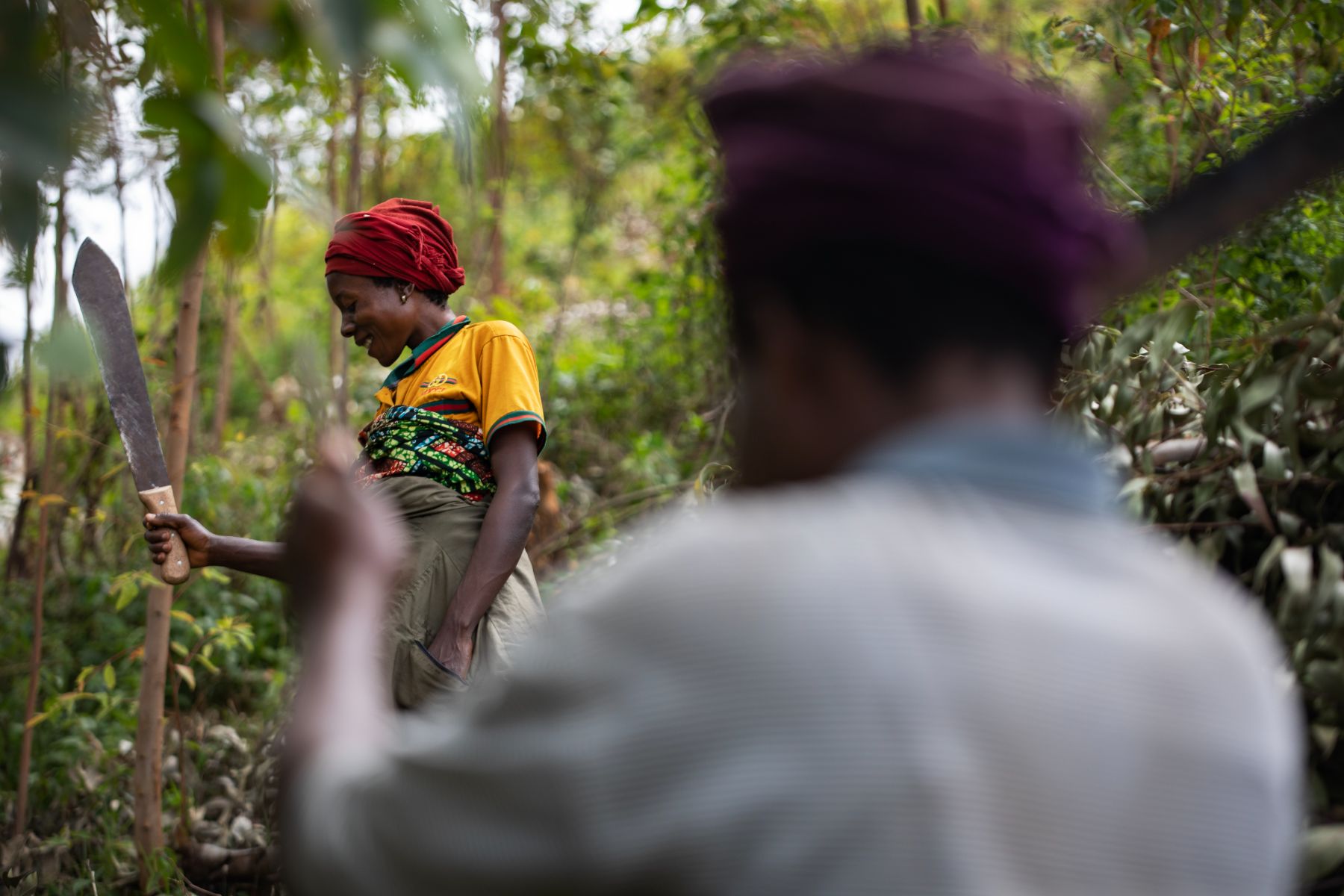 One Health Approach in South Kivu — 17