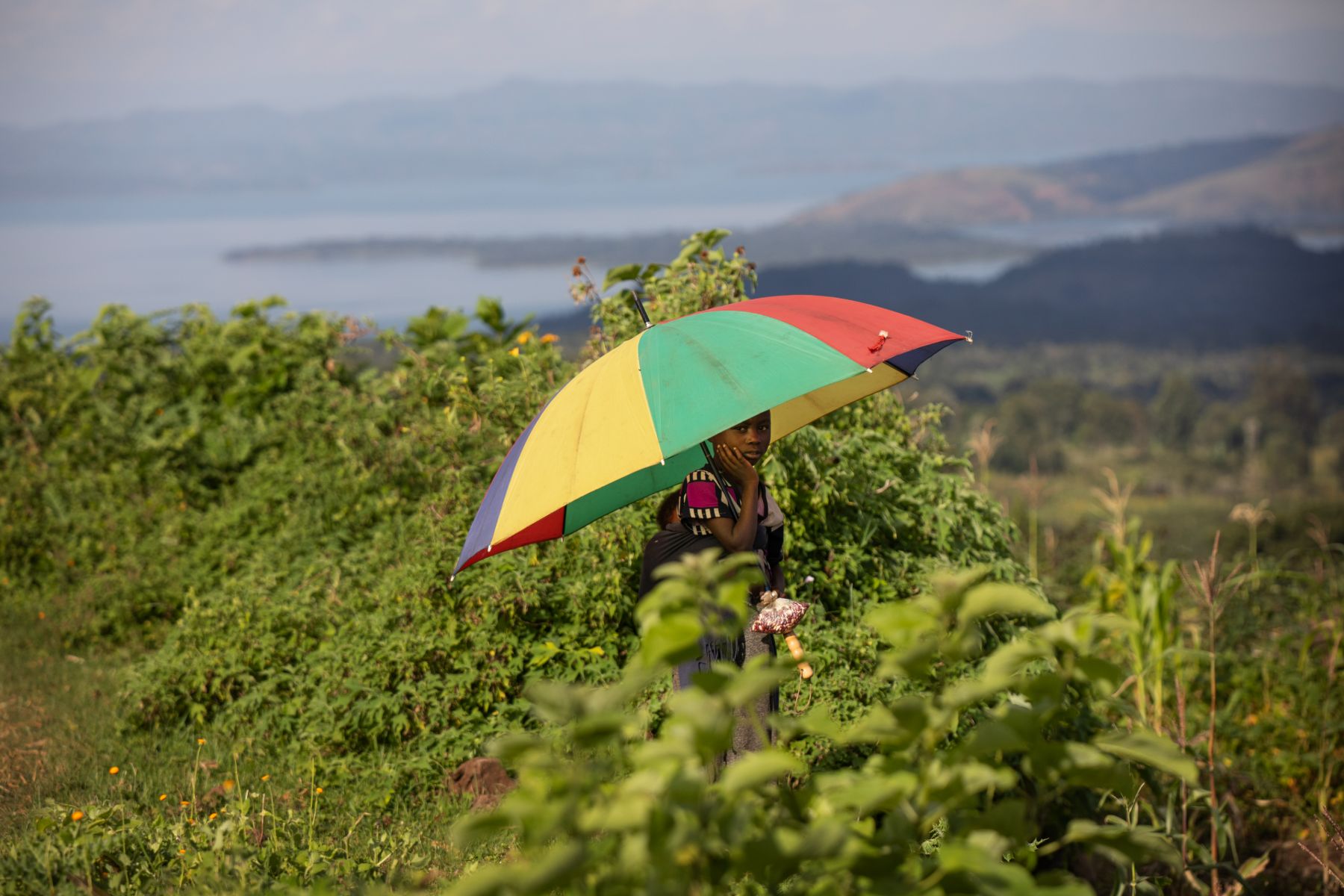 One Health Approach in South Kivu — 23