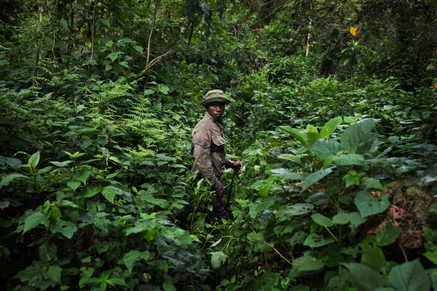 One Health Approach in South Kivu — 3