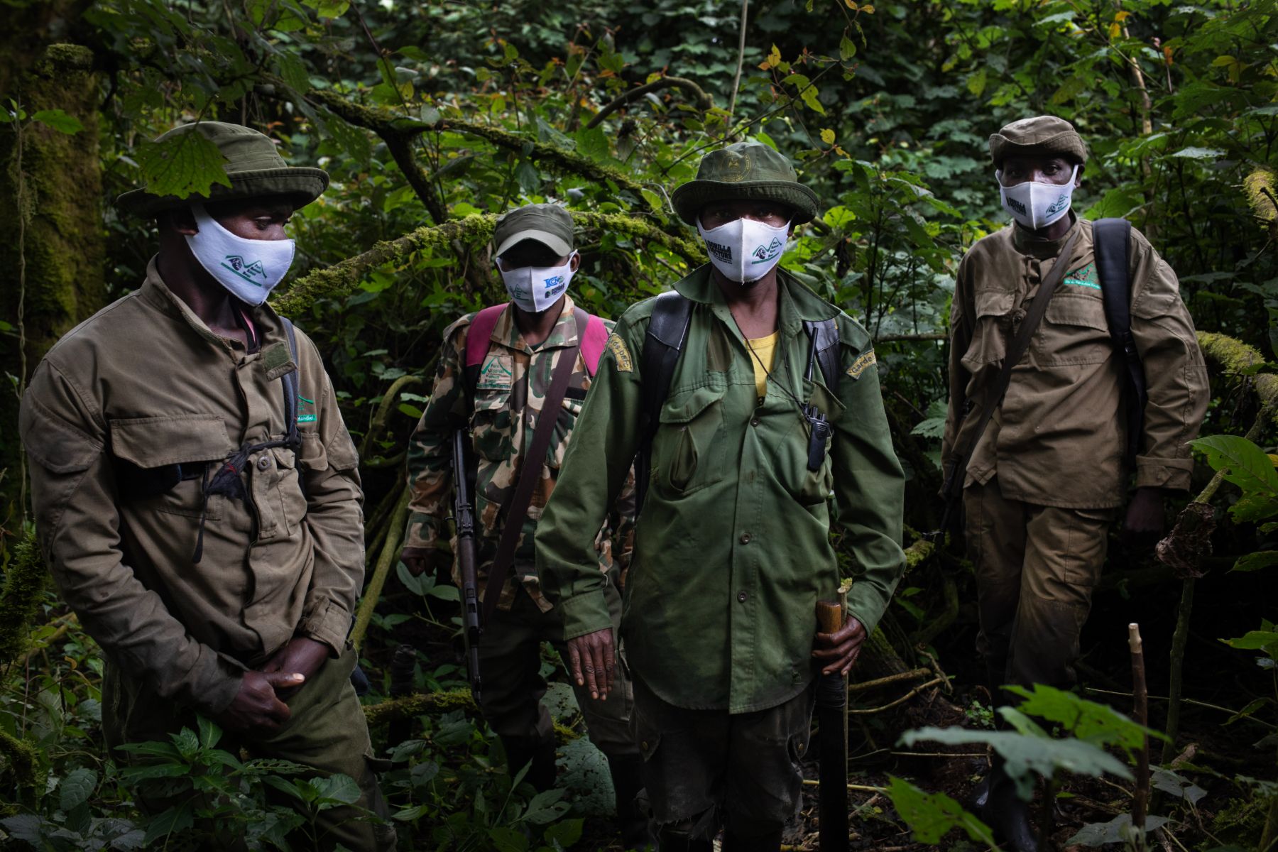 One Health Approach in South Kivu — 6