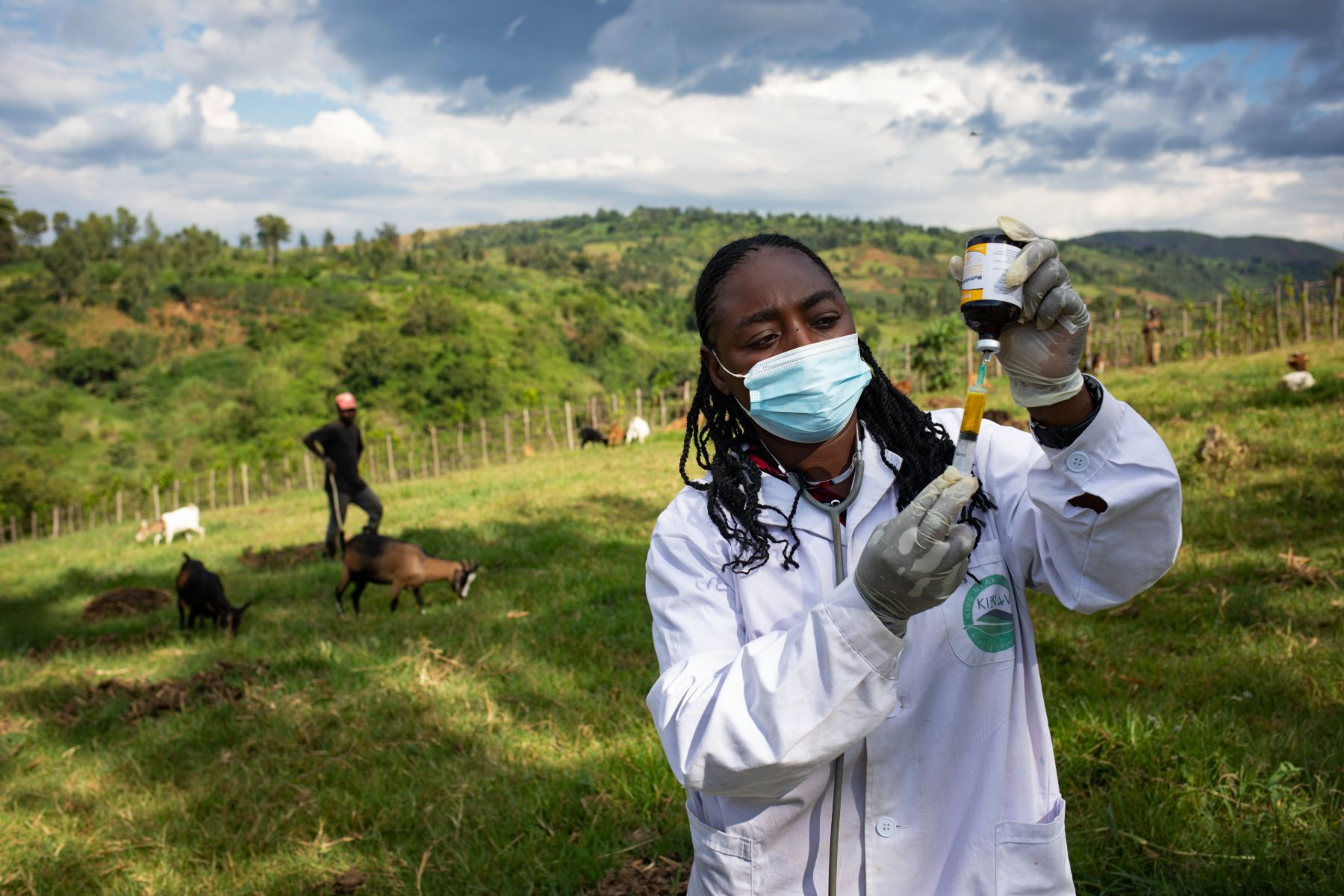 One Health Approach in South Kivu — 7
