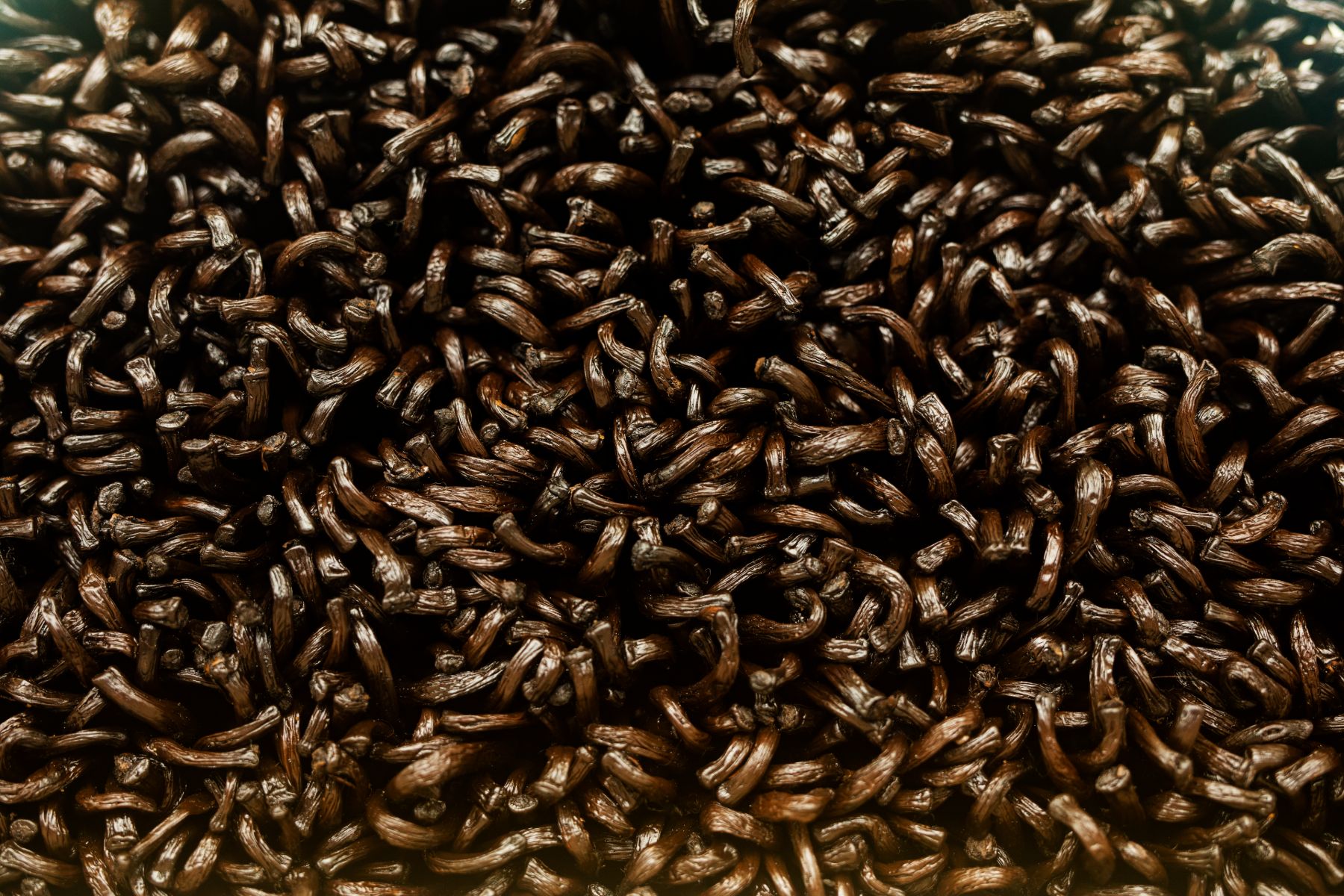 Towards Sustainable Vanilla — 15