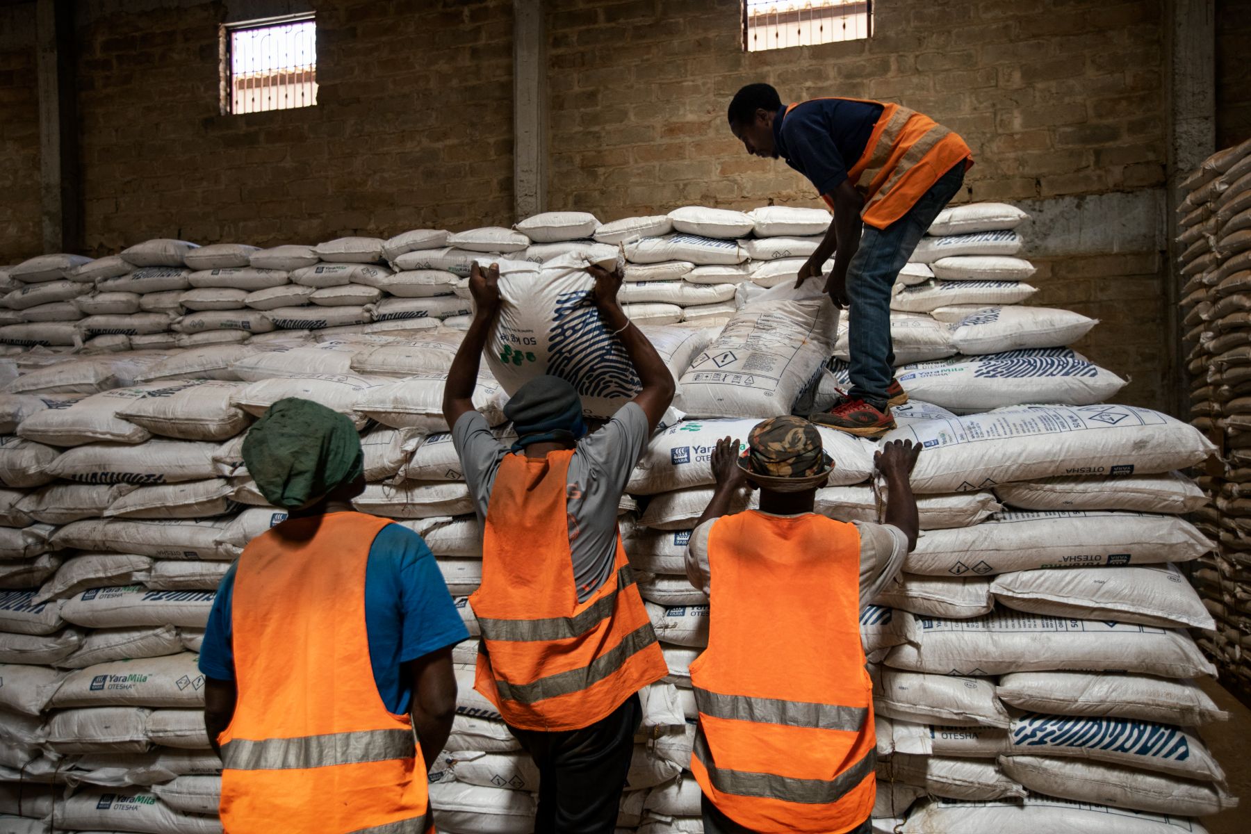 Agricultural Development in Tanzania — 12