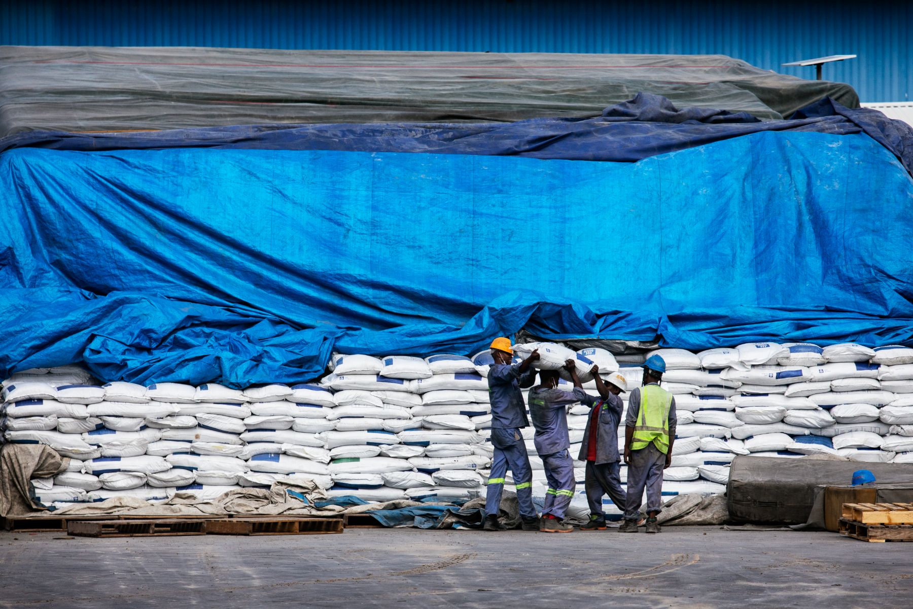 Agricultural Development in Tanzania — 16