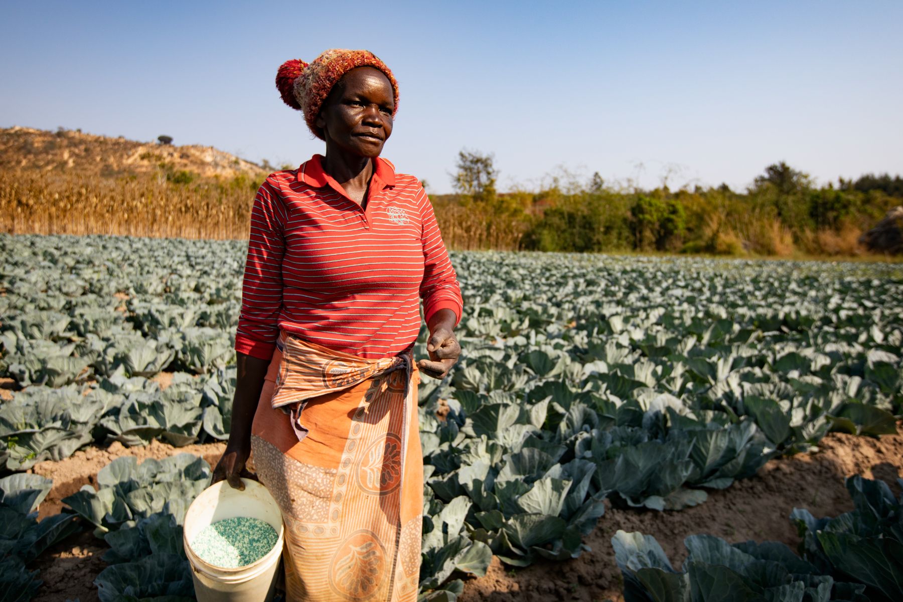 Agricultural Development in Tanzania — 7