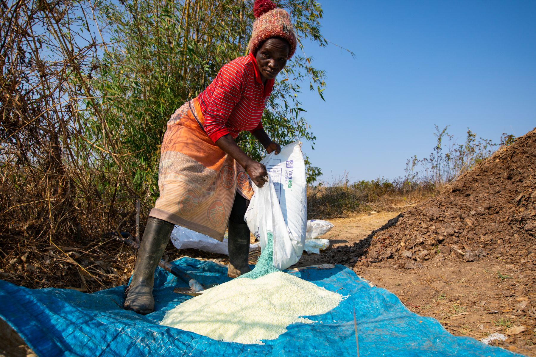 Agricultural Development in Tanzania — 9