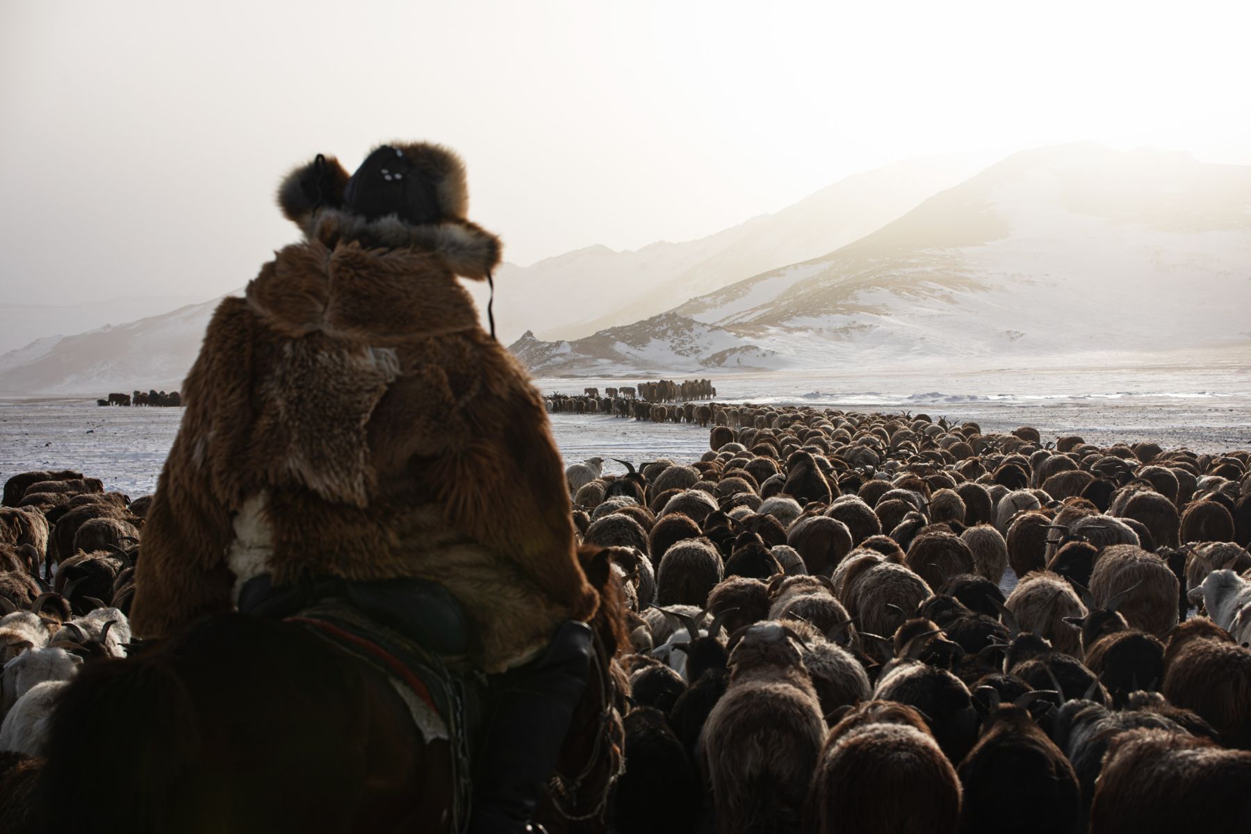 Winter Migration — 1
