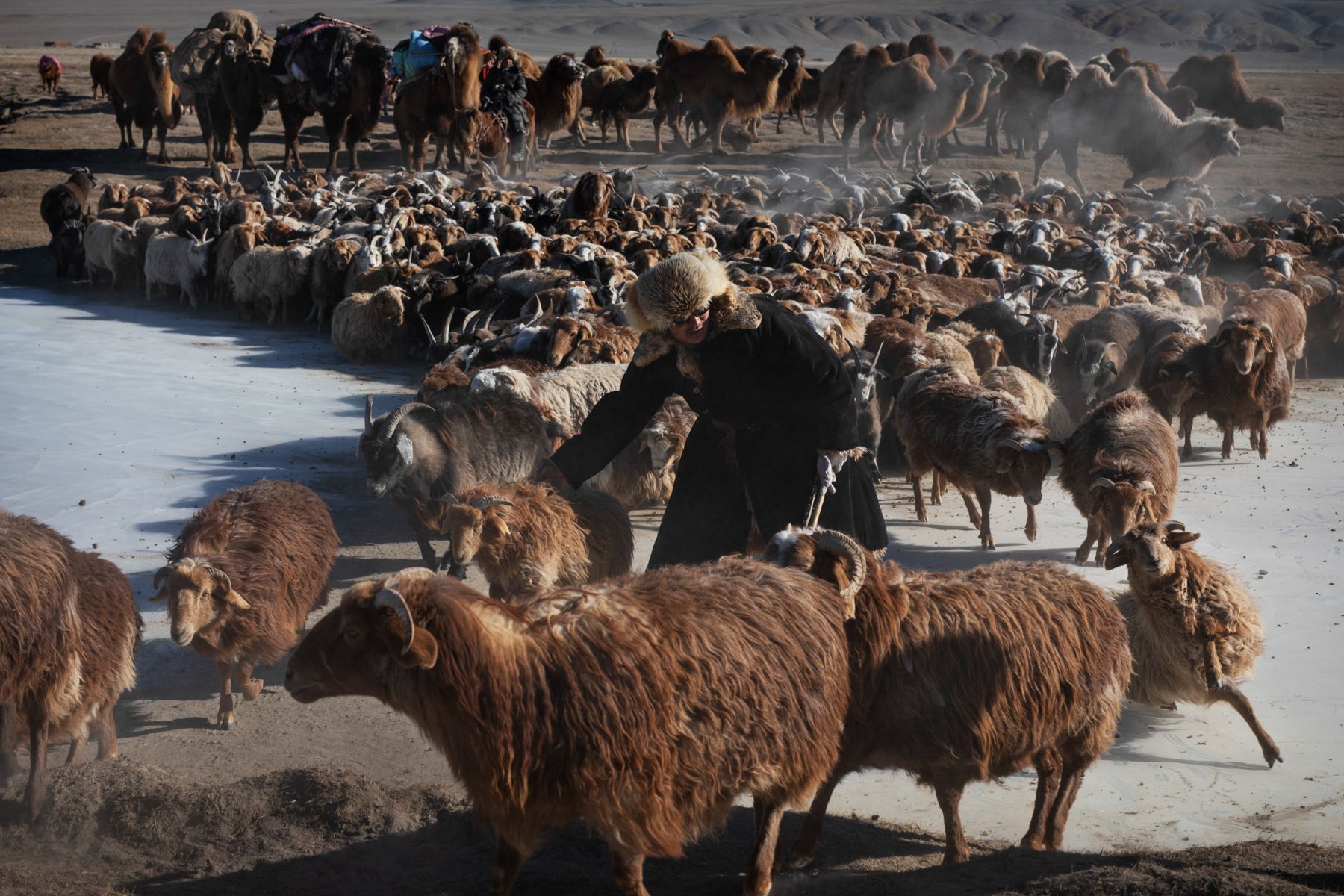 Winter Migration — 6