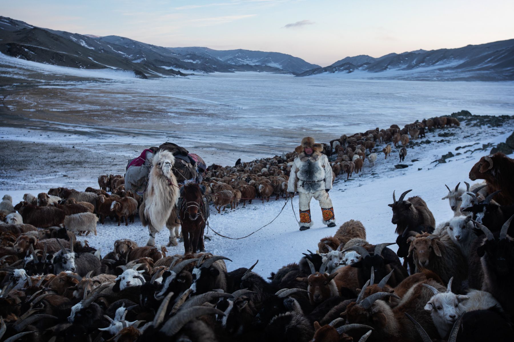 Winter Migration — 9