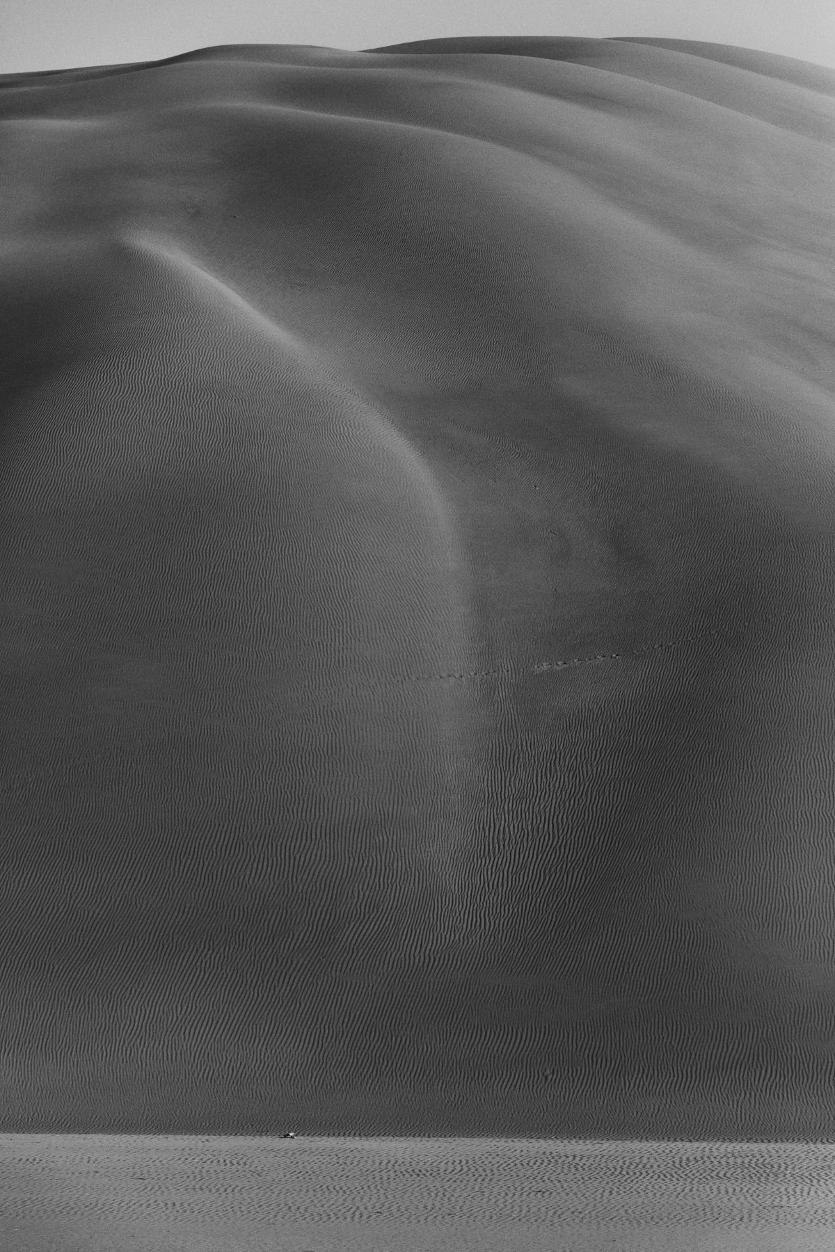 Desert Tales — 1