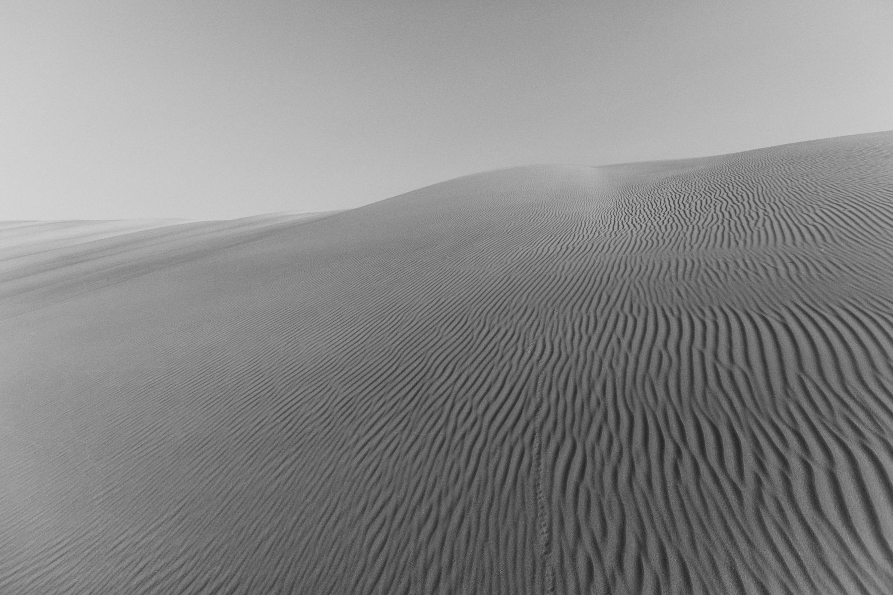 Desert Tales — 2