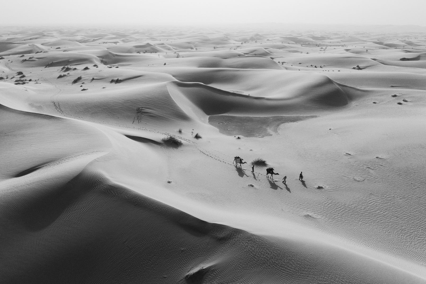 Desert Tales — 4