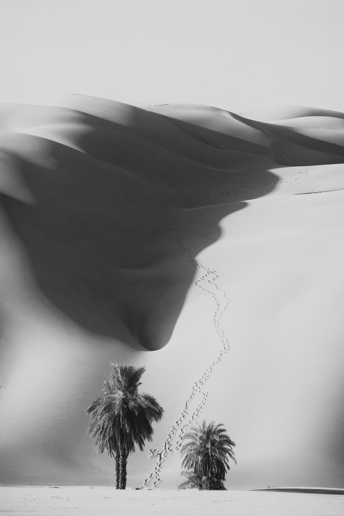 Desert Tales — 8
