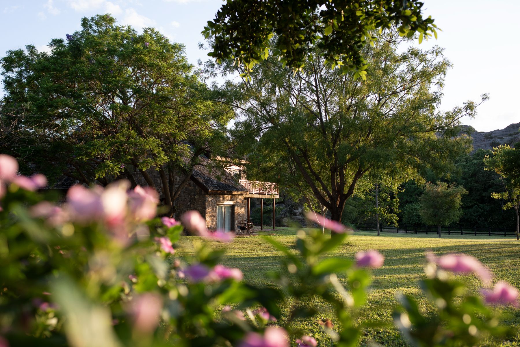 Le Jardin du Roy — 2